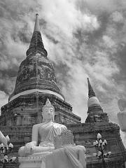 Thailand_OctNovDec_2010_Ayutthaya_Infrared_2684