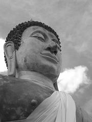 Thailand_OctNovDec_2010_Ayutthaya_Infrared_2698