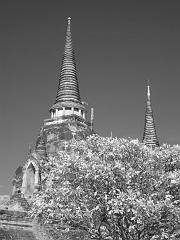 Thailand_OctNovDec_2010_Ayutthaya_Infrared_2575