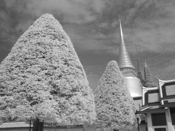 Thailand_OctNovDec_2010_Bangkok_Infrared_2384.jpg