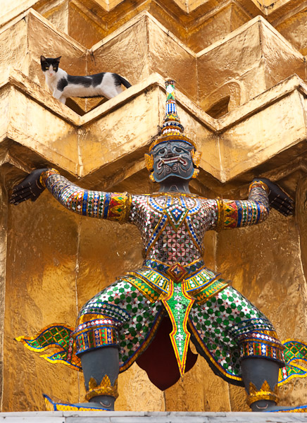 Thailnd_Bangkok_OctNovDec_2010_6036.jpg - Cat watching the Guardian.