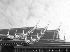 Thailand_OctNovDec_2010_Bangkok_Infrared_2422