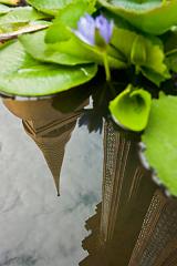 Thailnd_Bangkok_OctNovDec_2010_5961