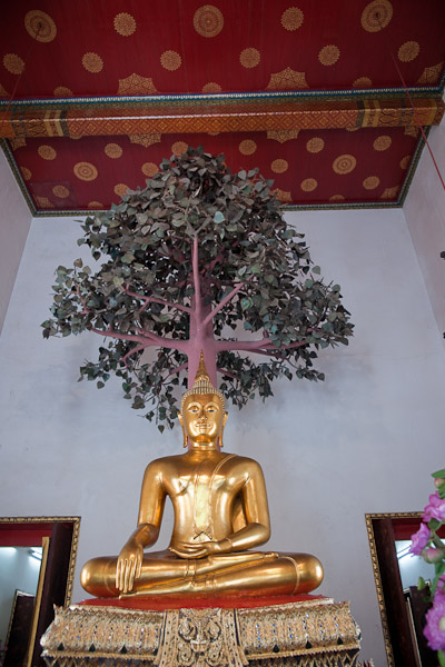 Thailand_Bangkok_OctNovDec_2010_2770.jpg - Buddha sitting under the tree.