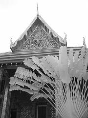 Thailand_OctNovDec_2010_Bangkok_Infrared_2457