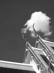 Thailand_OctNovDec_2010_Infrared_2031