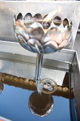 Thailand_Chiang_Mai_OctNovDec_2010_4191