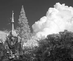 Thailand_OctNovDec_2010_Infrared_2205