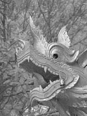 Thailand_OctNovDec_2010_Infrared_2213