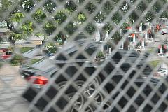 Thailand_Chiang_Mai_OctNovDec_2010_3992