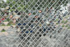 Thailand_Chiang_Mai_OctNovDec_2010_4001