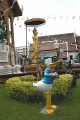 Thailand_Chiang_Mai_OctNovDec_2010_3350