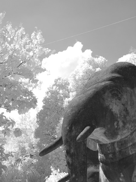 Thailand_OctNovDec_2010_Infrared_2112.jpg