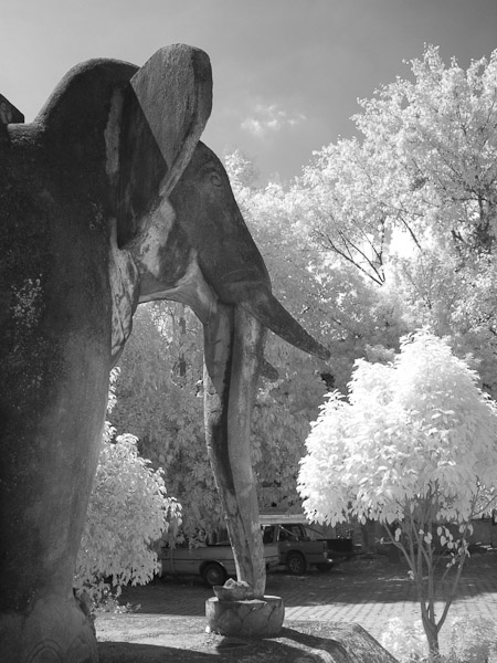 Thailand_OctNovDec_2010_Infrared_2115.jpg