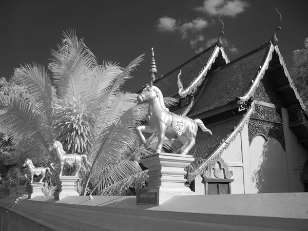 Thailand_OctNovDec_2010_Infrared_2142.jpg