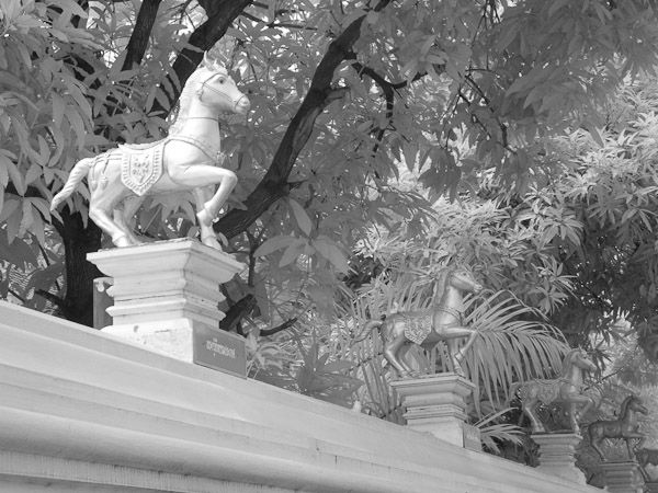 Thailand_OctNovDec_2010_Infrared_2190.jpg