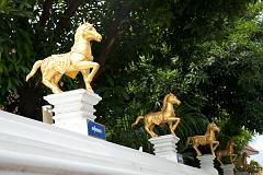 Thailand_Chiang_Mai_OctNovDec_2010_4036