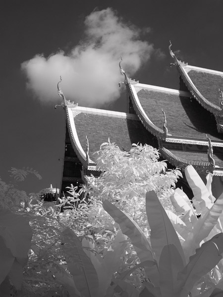 Thailand_OctNovDec_2010_Infrared_2158.jpg