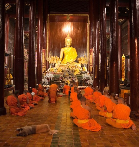 Thailand_Chiang_Mai_OctNovDec_2010_3485.jpg - One dog and monks chanting