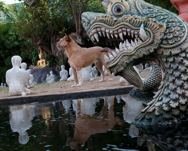Thailand_Chiang_Mai_OctNovDec_2010_3779.jpg - Sculpture garden with dog.