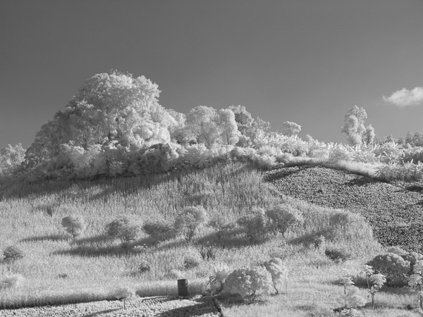 Thailand_OctNovDec_2010_Infrared_2268.jpg