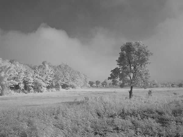 Thailand_OctNovDec_2010_Pai_Infrared_2362.jpg