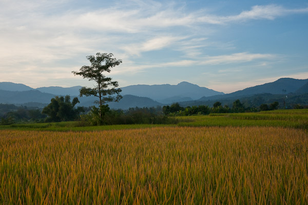 Thailand_Pai_OctNovDec_2010_4873.jpg