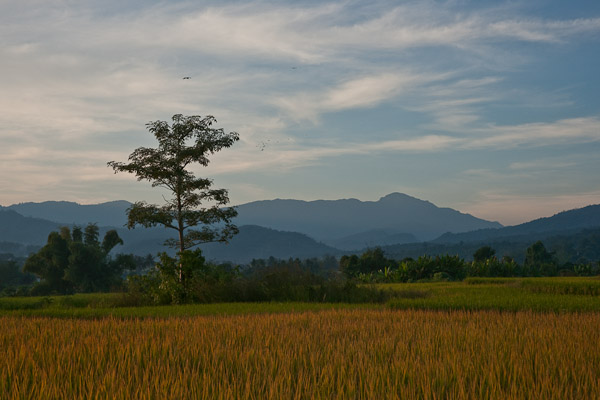 Thailand_Pai_OctNovDec_2010_4884.jpg