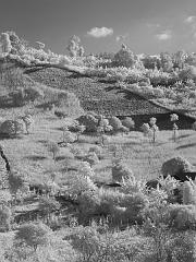 Thailand_OctNovDec_2010_Infrared_2267