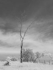 Thailand_OctNovDec_2010_Infrared_2302