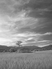 Thailand_OctNovDec_2010_Infrared_2326