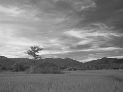 Thailand_OctNovDec_2010_Infrared_2340