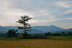 Thailand_Pai_OctNovDec_2010_4902
